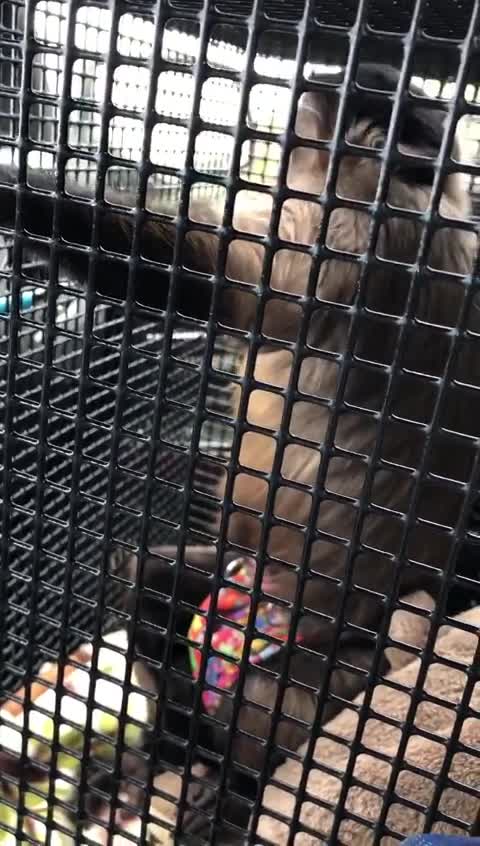 So today while moving stuff