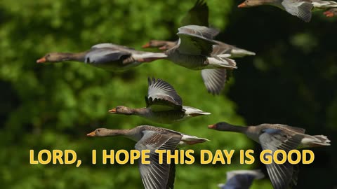 LORD, I HOPE THIS DAY IS GOOD