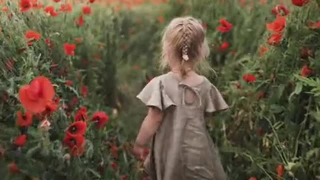 Girl Walking Between Red Poppy Flowers