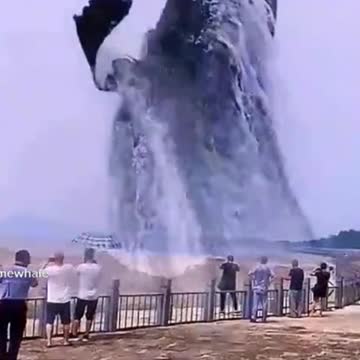 HUGE WHALE MAKES BIG WAVES! 😲
