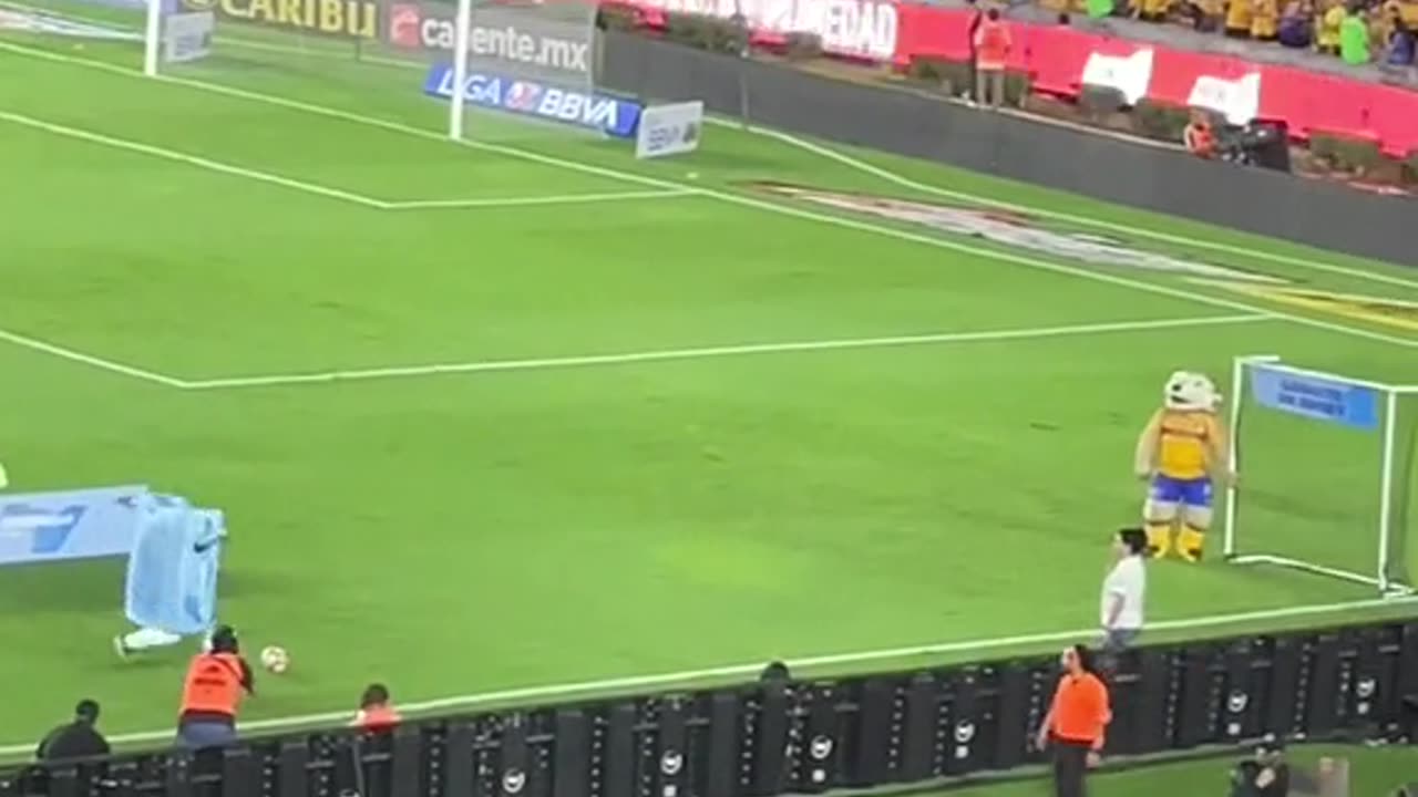 Mascots Have Friendly Feud During Halftime Show