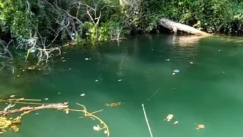 Hook River Fishing