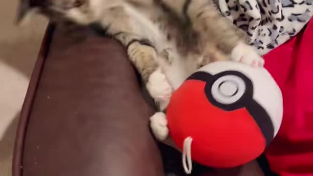 πππkitty