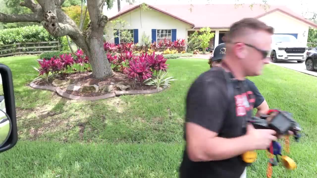 Fully trained puppy flies home first class