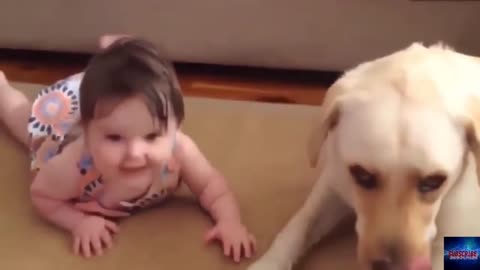 Funny Babies and Animals Videos