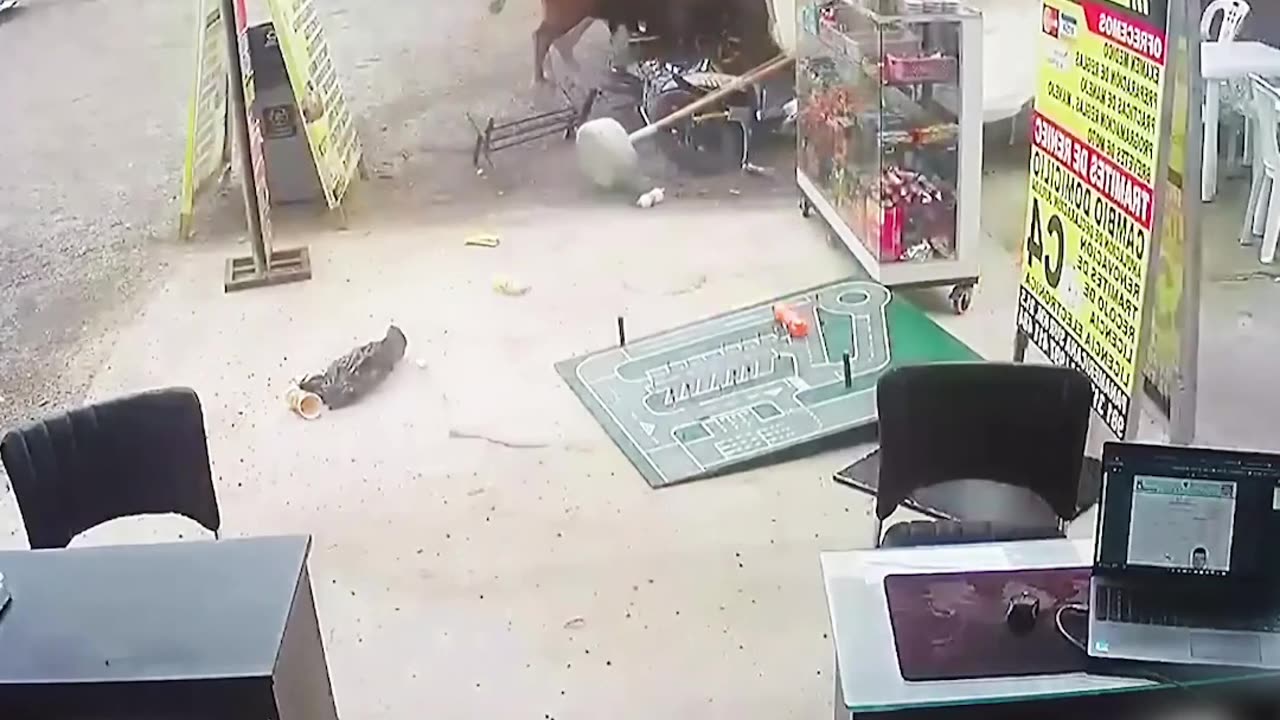 Funny videos