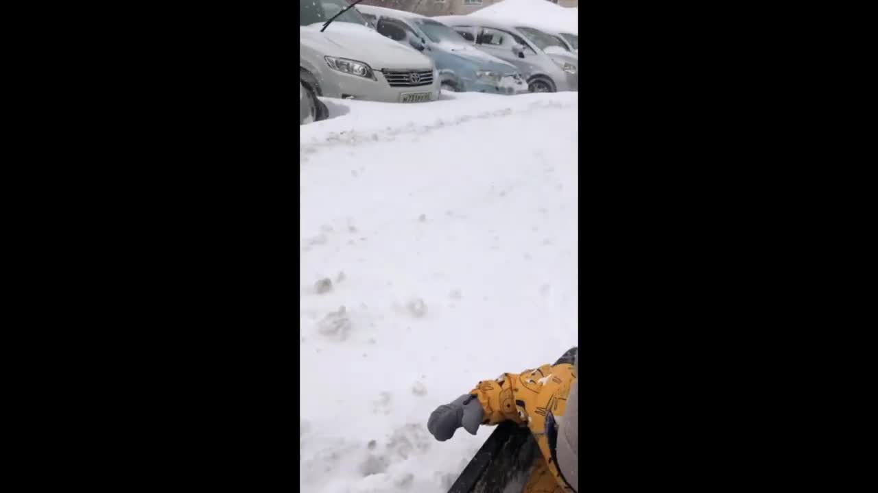 Corgi pulls kid on sleigh through the snow