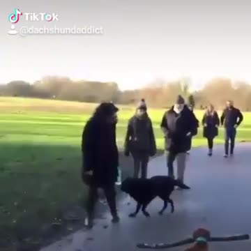 Funny Tik TOK VIDEO #FUNNY