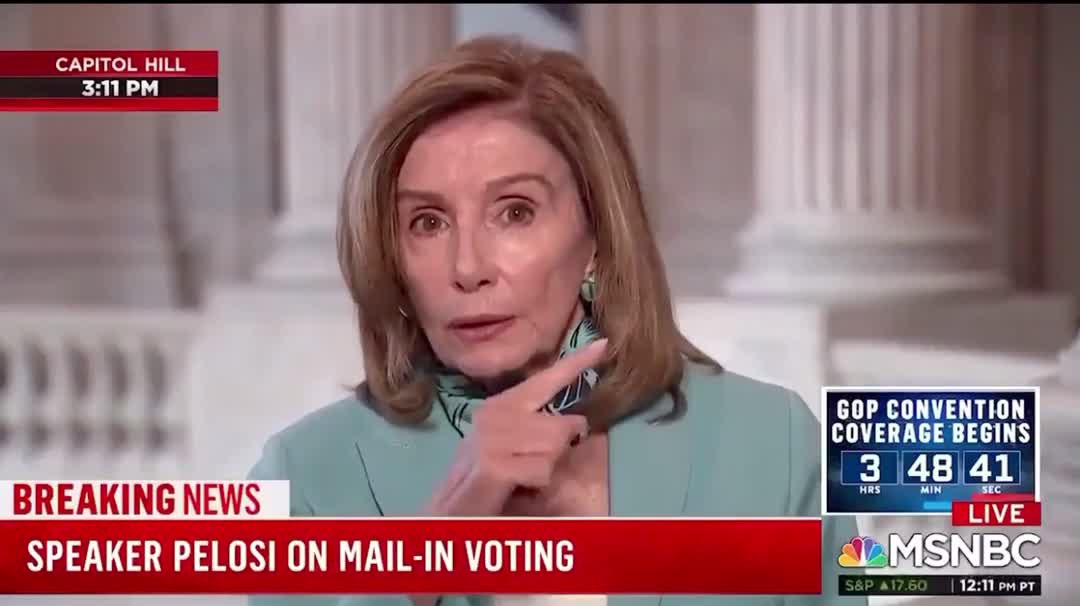 Democrats are Certainly NOT Domestic TERRORISTS!