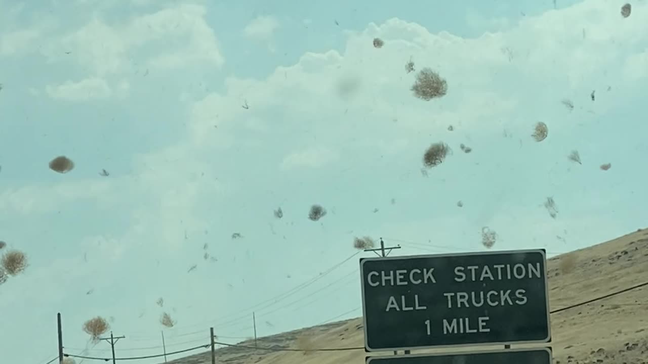 Tumbleweeds Block Traffic