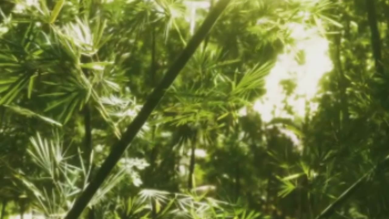 5 Bizarre Facts About Hawaii