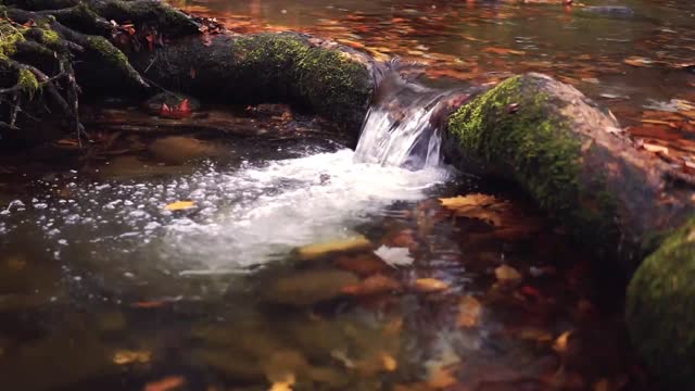 Soothing Brook with rain