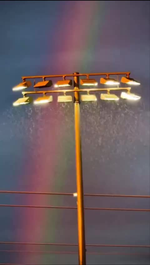 Dan the Man pinned X post