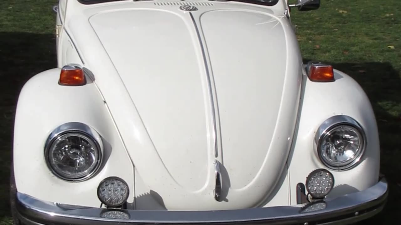 Volkswagen Beetle