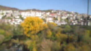 Village Views