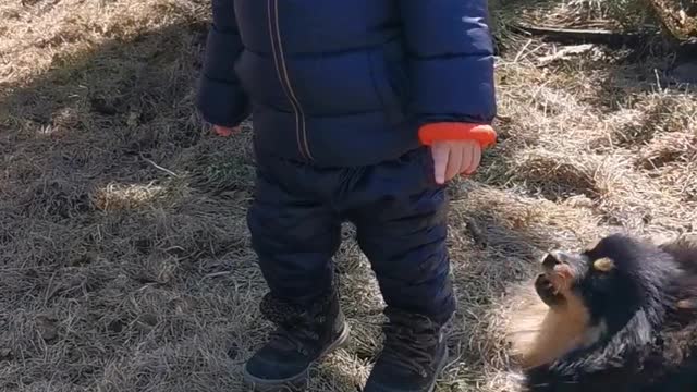 A little boy with his dogs love animals