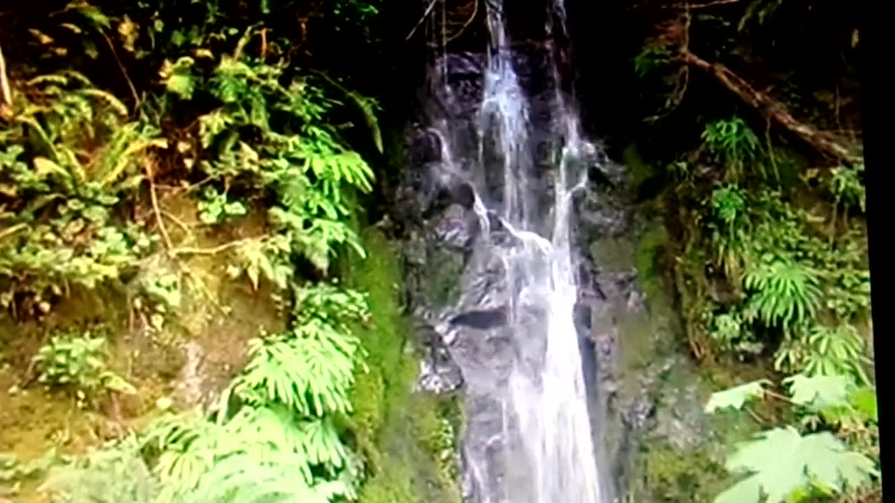 This water fall is by my bug out site: