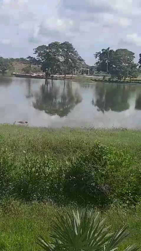 Hallan cuerpo de un hombre en un lago