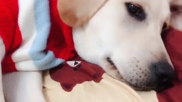 Fortunately there is you