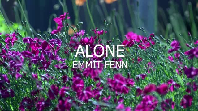 Alone - Emmit Fenn - daffa production