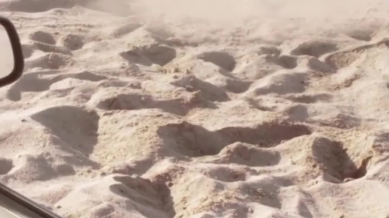 Man-Eating Monster Appears on Beach.#shorts