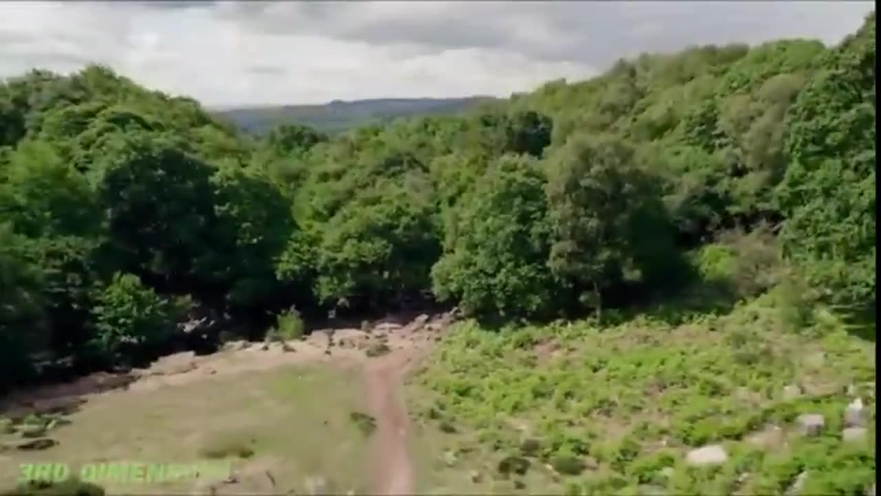 Government Indocrination Camp 2 David Icke Explains How You Are Programmed