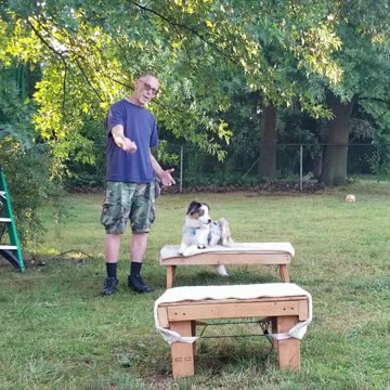 Back to the Basics: Stop , Back, Figure Six cut 12