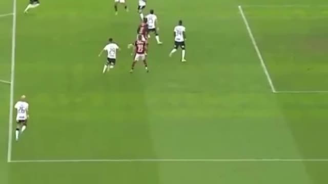 LINDO LANCE DE PEDRO PARA O FLAMENGO