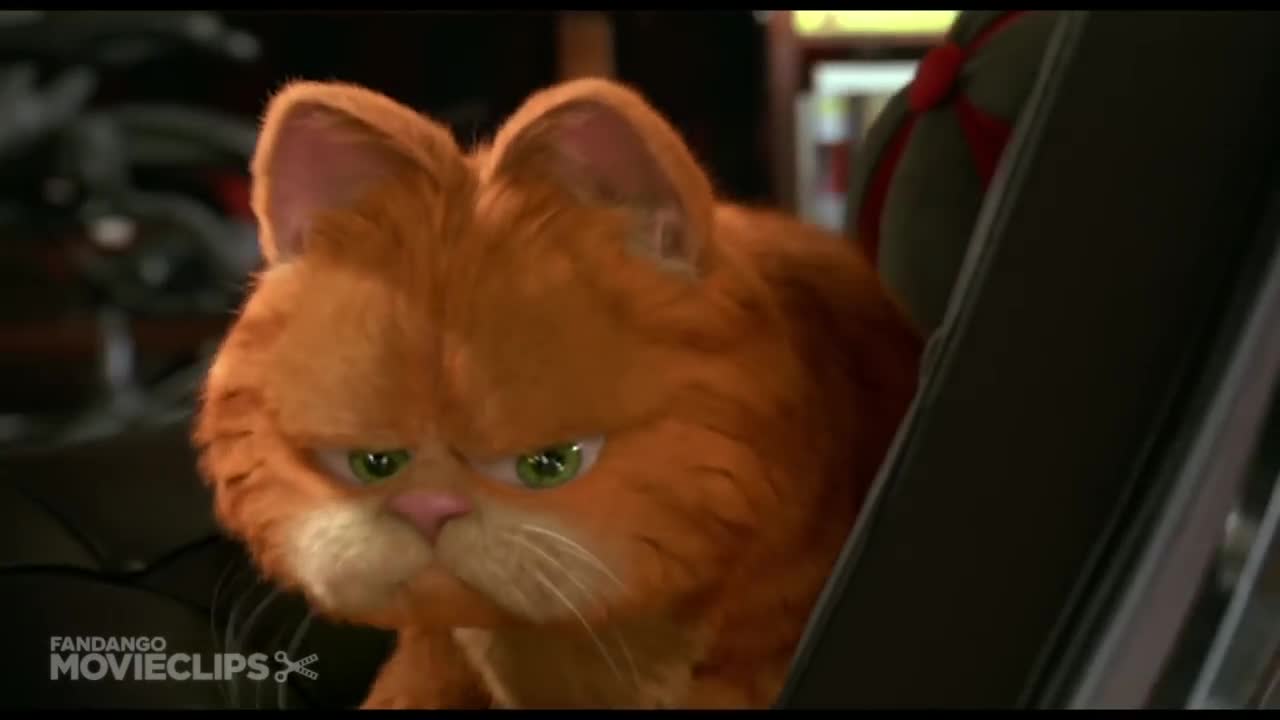 Funny cat Punjabi dubbed- Hilarious Movie Scene. Laughs Guaranteed