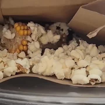 2 TruthsTrash_#science#experiments