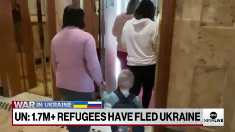 What are Ukrainian refugees going to do long-term