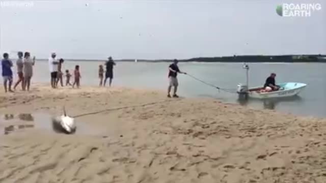 Not your average day at the beach... Would you step in to help?