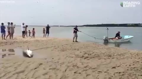 Not your average day at the beach... Would you step in to help?