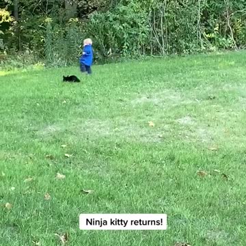 maybe he was trying to keep her out of the woods my nephew got up right and laughed