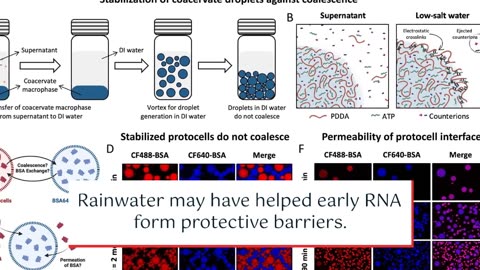 Rainwater: Scientists Discover Unexpected Missing Link in the Origin of Life