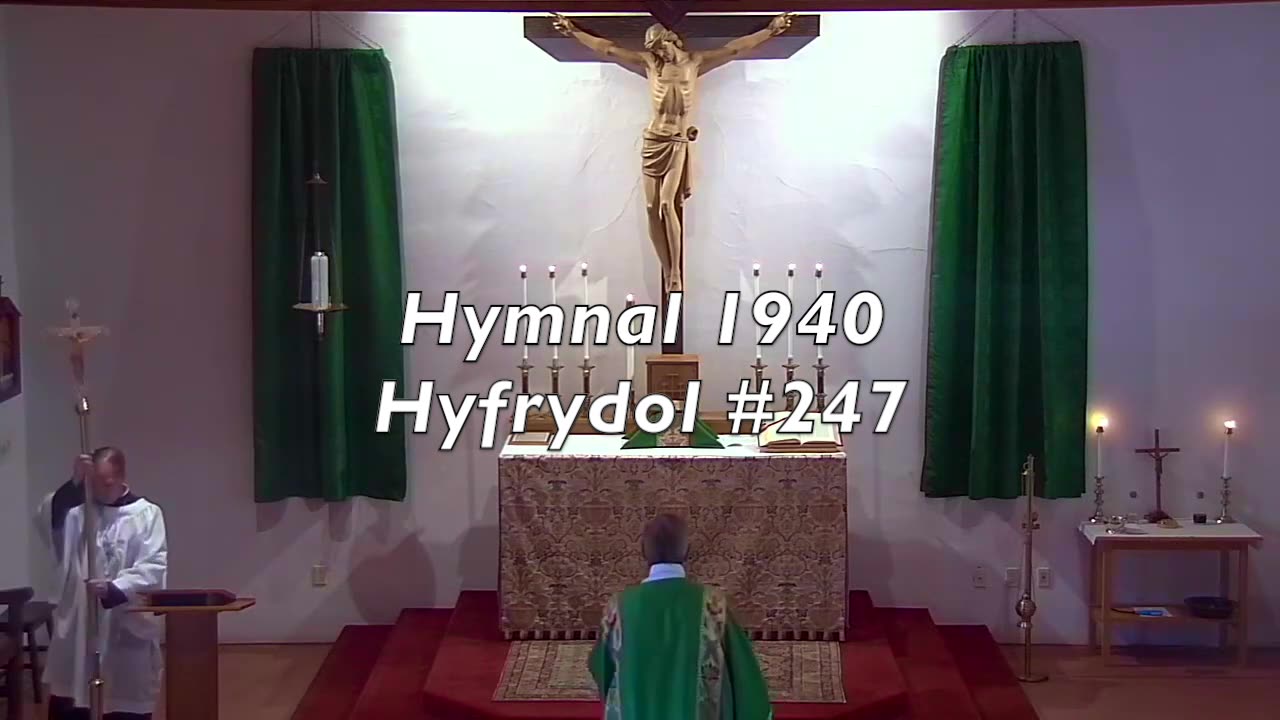 Hyfrydol #247