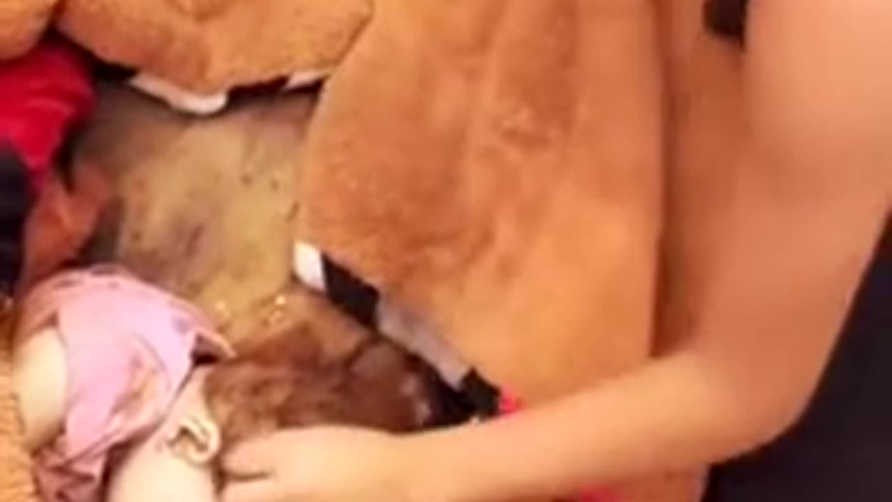 Gaza is not a war. It's ethnic cleansing. Genocide.