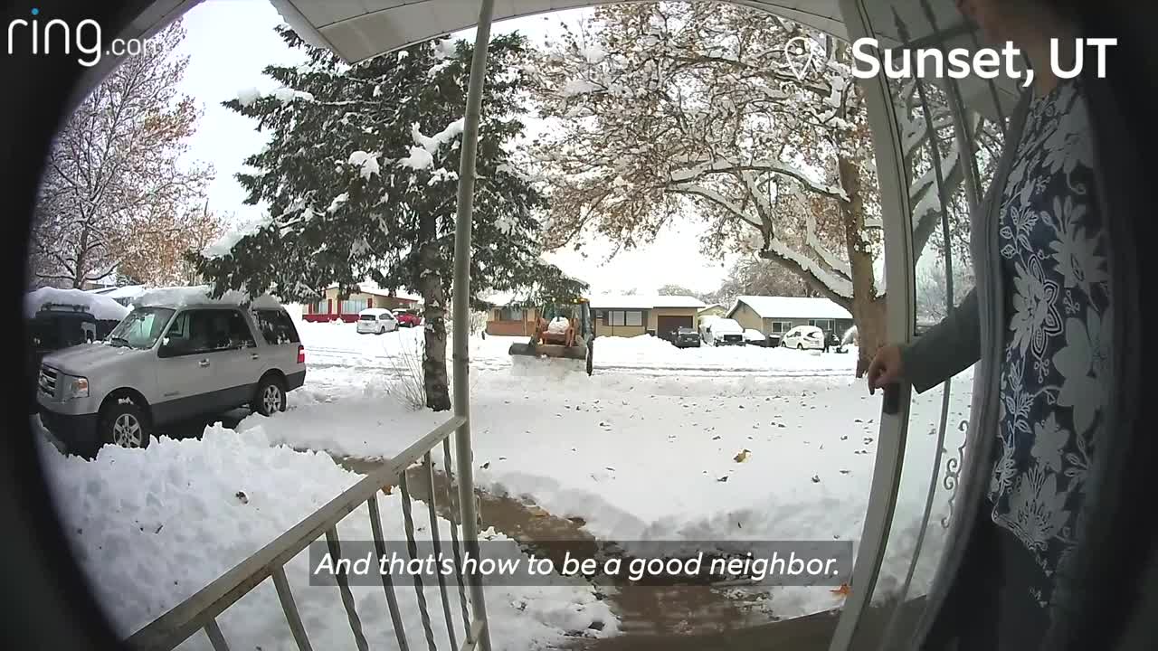 Little Girl Crosses Paths With A Bobcat & Dad Forgets Dog Outside captured on ring doorbell