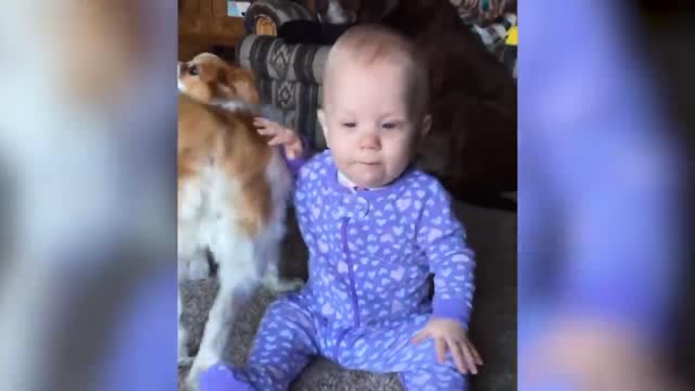 THE DOG IS SLAPING THE BABY USING ITS TALE