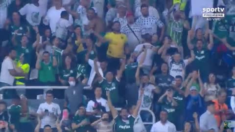 Palmeiras