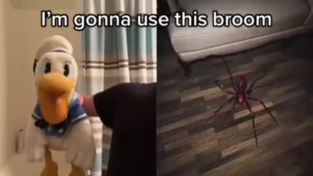 Donald Duck can’t handle it #shorts