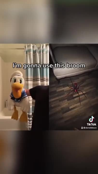 Donald Duck can’t handle it #shorts