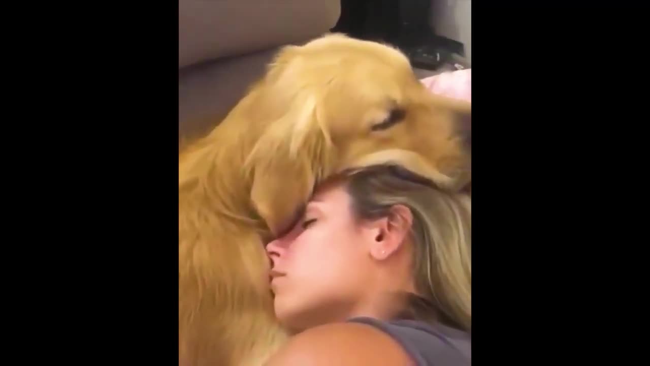 under the protection of his friend