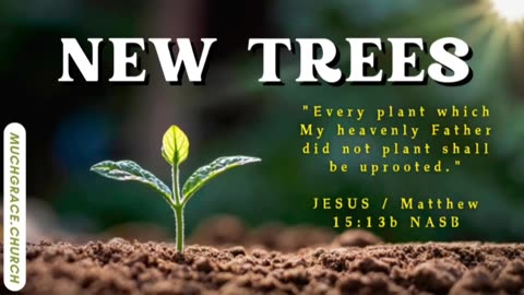 New Trees (5) : How to Hear the Spirit