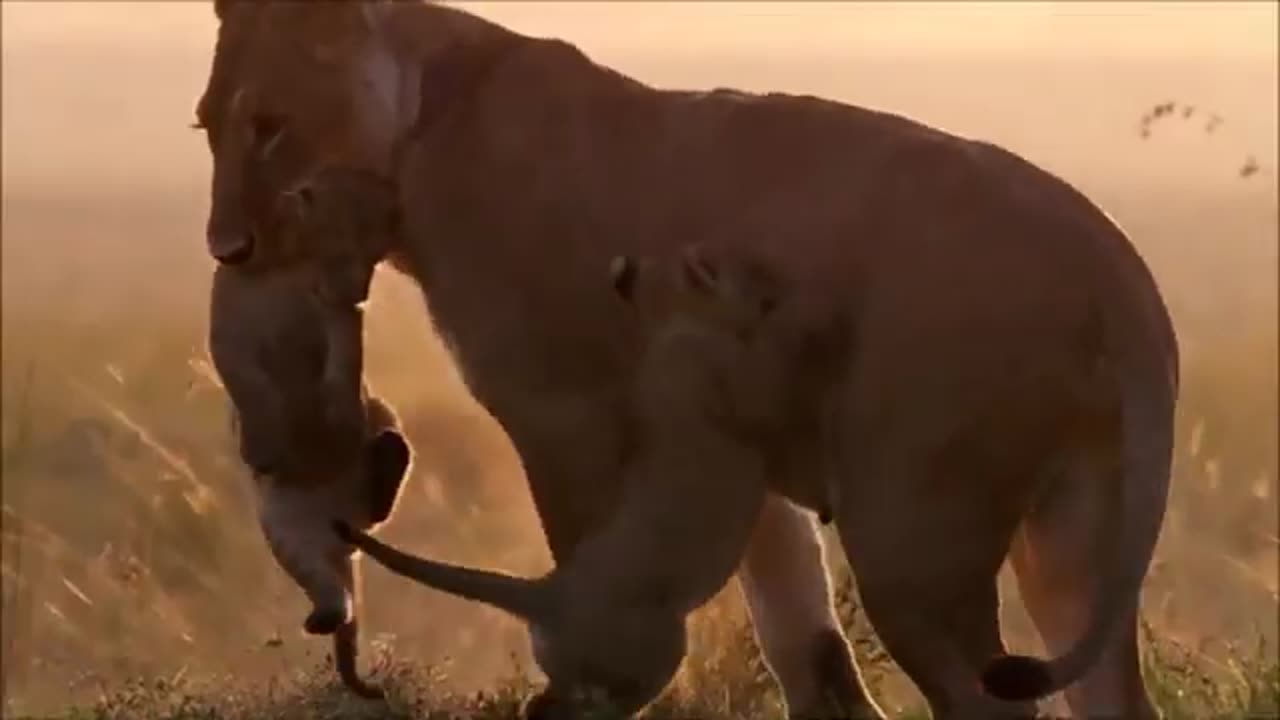 Breathtaking beauty of nature