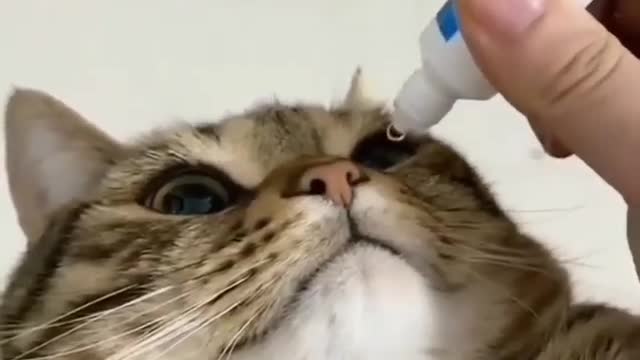 Are you going for an eye drop?