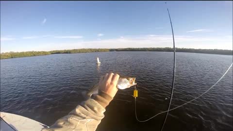 Guy Catches Fish With a Lego