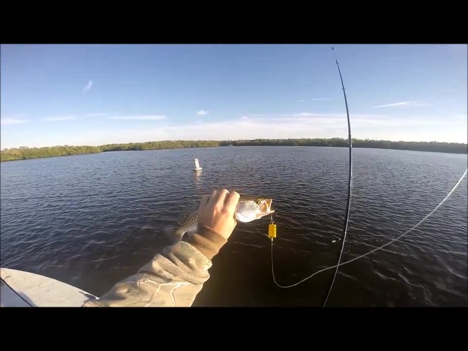 Guy Catches Fish With a Lego