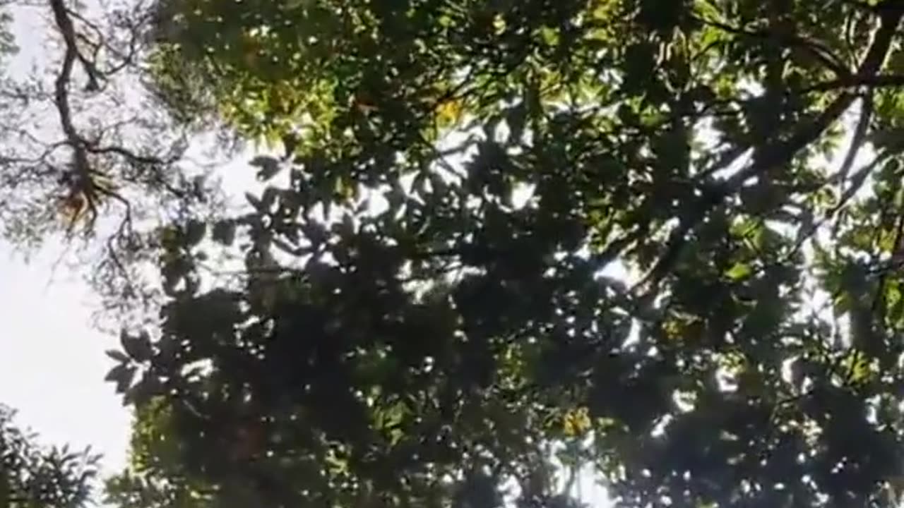 Best Life Partners 💓