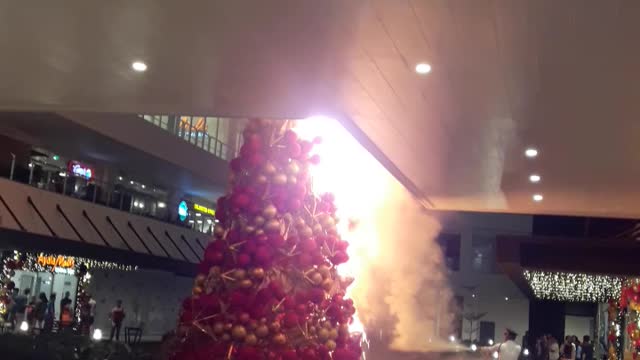 Christmas Tree Catches Fire